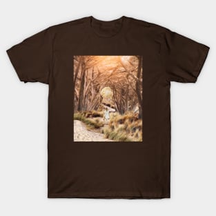 Undisclosed desire T-Shirt